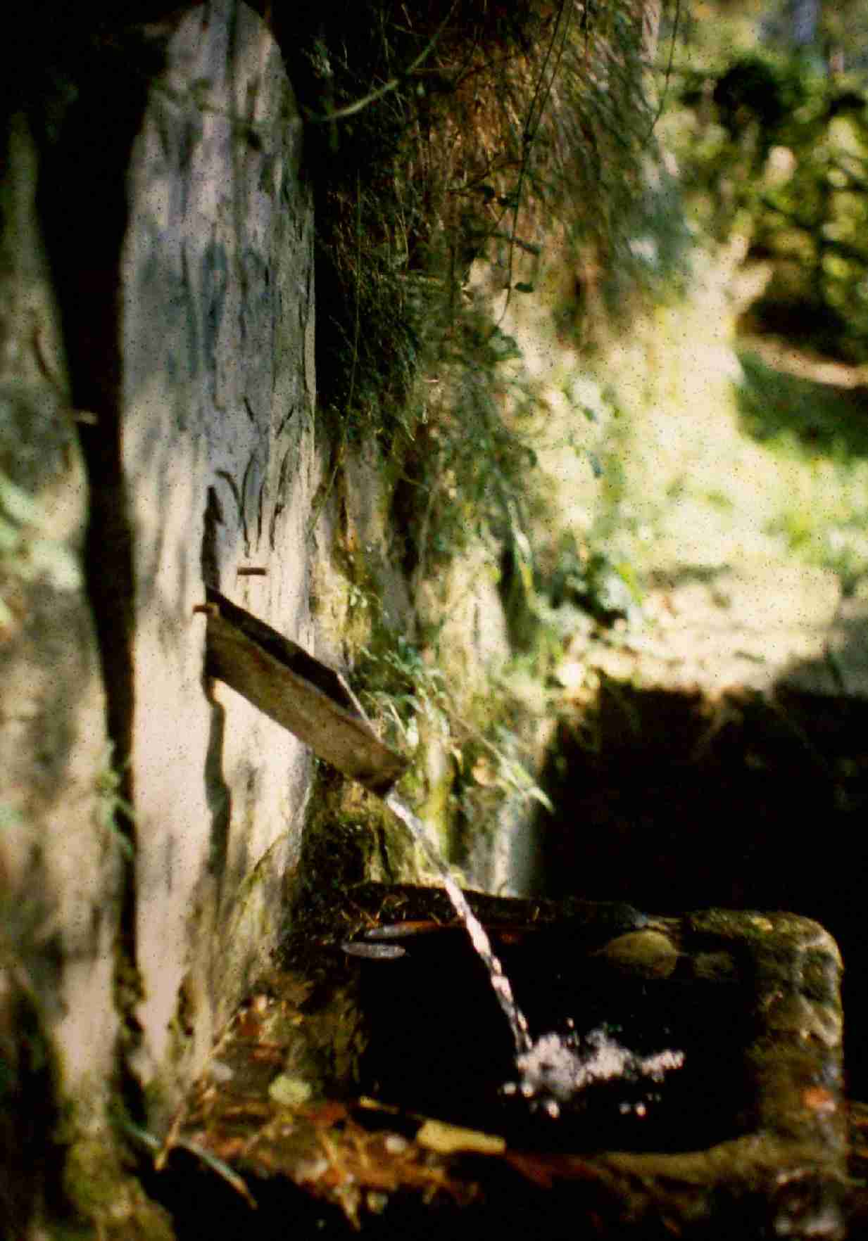  Image name: 15 Molino.jpg 
 width: 1233 pixel 
 height: 1764 pixel 
 Size: 94750 bytes 
 Click to enlarge 